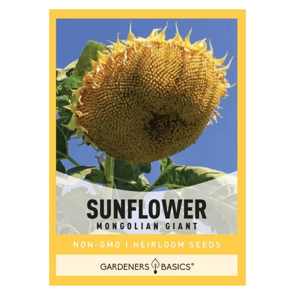 Mongolian Giant Sunflower Seeds