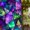 Ycu00571, variant on Stained Glass Window Film Pastel Diamond Pattern PVC 17.7 x 39.4 Inches Window Clings for Glass Pane Privacy Decor for Bedroom Living Room Entry Door
