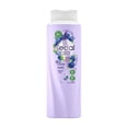 thumbnail image 2 of Shampoo Sedal brillo y suavidad arándano y óleos 620 ml, 2 of 4
