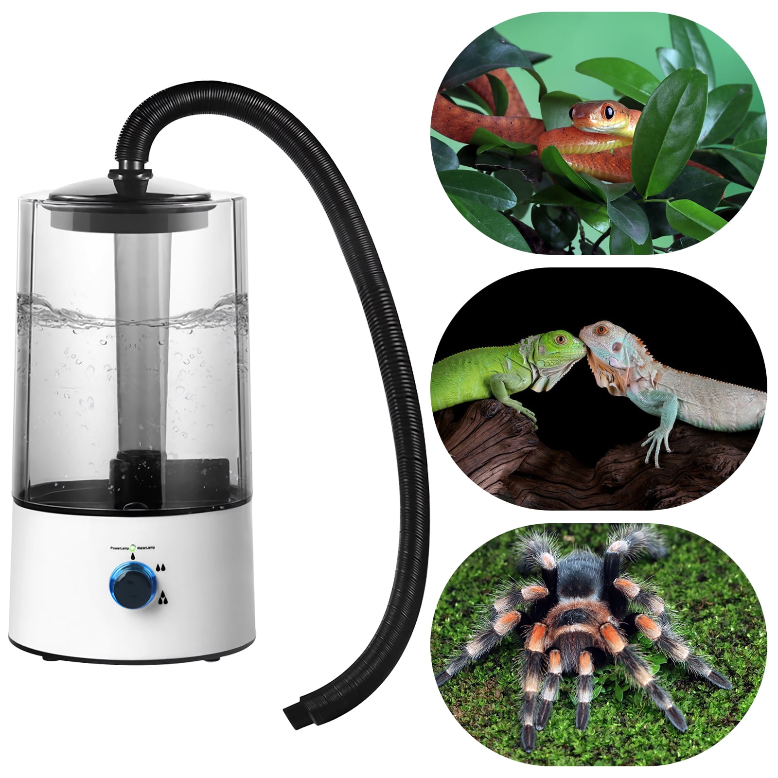 Pet Humidifier for Reptiles and Amphibians 1.06gal Reptile Fogger Sturdy Durable 3 Spray Levels Quiet Design for Use in Homes Pet Stores