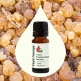 thumbnail image 6 of Plant Therapy Organic Frankincense Serrata Essential Oil 100% Pure, USDA Certified Organic, Undiluted, Natural Aromatherapy 10 mL (1/3 oz), 6 of 8