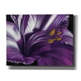 thumbnail image 1 of Epic Graffiti 'Amethyst' by Barbara Keith, Canvas Wall Art, 34"x26", 1 of 8