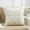 Beige, variant on Halloween Pumpkin Shaped Throw Pillow, Soft Rabbits Plush Cushion Cover, Decorative Autumn Sofa Pillow for Living Room, Cozy Holiday Home Decor Accessory, 1Pack Coffee