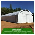 thumbnail image 4 of Drevy - Panda Film Light Deprivation Greenhouse Cover - 6 mil - (6' x 50') - 100% Blackout Tarp, Black White Plastic Sheeting, Green House Film, 4 of 7