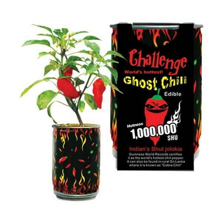 Ghost Chili Pepper In A Can (Best Way To Grow Ghost Peppers)