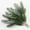 C, variant on Ohmyroo 24-Piece Artificial Pine Needles Faux Plant Branches For Floral Arrangement