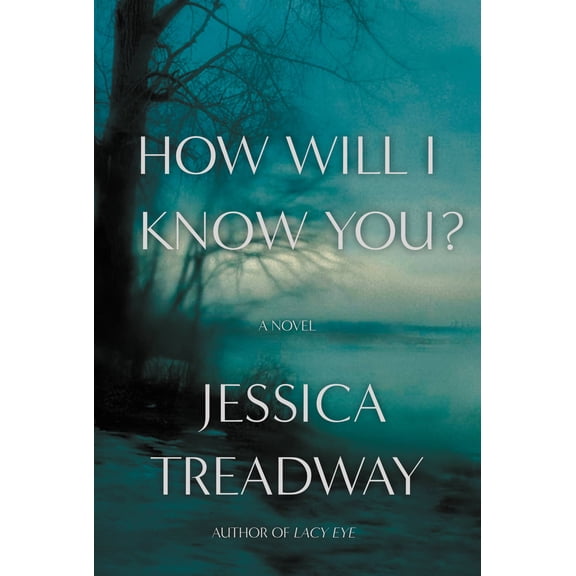 How Will I Know You? : A Novel (Hardcover)