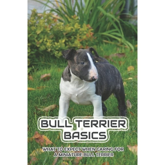 Bull Terrier Basics: What To Expect When Caring For A Miniature Bull Terrier: How To Train A Bull Terrier To Walk On A Leash (Paperback)