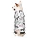 thumbnail image 1 of Balery Dachshund Dog Puppy Sudadera con Capucha para Perros Pequeños – Ropa para Mascotas, Disfraz para Perros y Gatos, Ideal para Fiestas y Cosplay-X-Small, 1 of 7