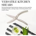 thumbnail image 5 of Styled Settings White Stainless Steel Knife Set with Walnut Block with Sharpener, 5 of 9