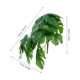 thumbnail image 2 of unbranded 2Ud Plantas Artificiales Monstera Para Pared Verde Colgante Fácil Instalación, 2 of 8