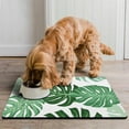 thumbnail image 2 of Dog Food Mats for Floors Super Absorbent, Pet Cat Food Mat - Non Slip Dog Bowl Mats for Food and Water, Eco-Friendly Boho Dog Placemats Feeding Mat, 2 of 6