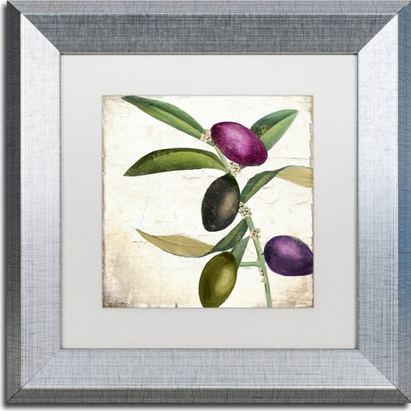 Trademark Fine Art "Olive Branch II" Canvas Art by Color Bakery, White Matte, Silver Frame