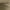 Medium Khaki, variant on Men's Haggar® Life Khaki™ Slim-Fit Comfort Chino Pants Color: Putty Size: 36X30