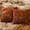Rust Brown Stem Pumpkin & Leaf, variant on Fall Decorations Set of 2 Double-Sided Fall Pillow Covers 18" x 18", with 2 Different Looks, Rust Pumpkin & Leaf, Soft Plush Faux Fur Throw Pillow Covers for Home Decor
