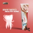 thumbnail image 3 of Hemani Clove Toothpaste 100g, 3 of 9