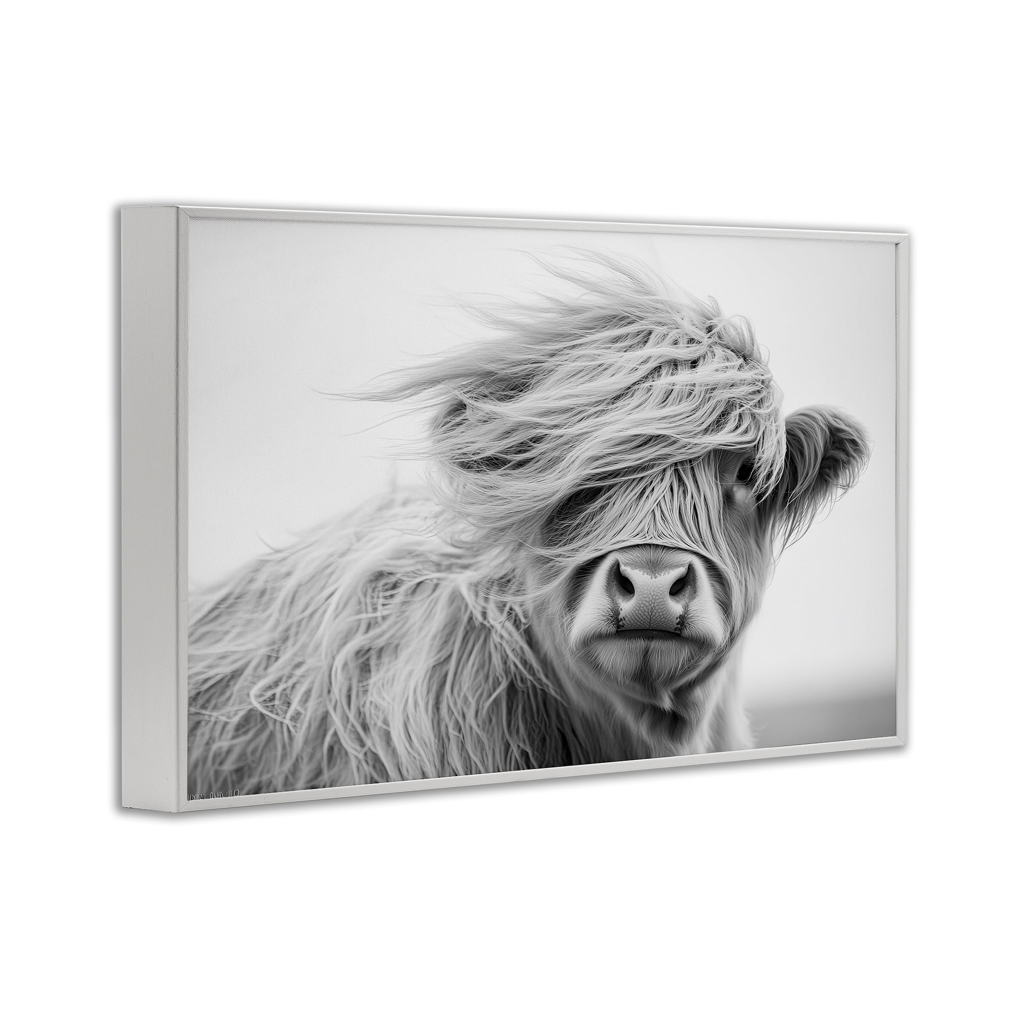 Stupell Industries Easy Breezy Highland White Framed Giclee Art, design by Tina LeCour