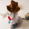 ZAROYEAX Dogs and Cats Funny Cowboy Change Outfit Standing Up Teddy