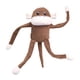 thumbnail image 1 of Pelota de Peluche para Perro ZippyPaws Spencer Mono Crujiente Grande, 1 of 8
