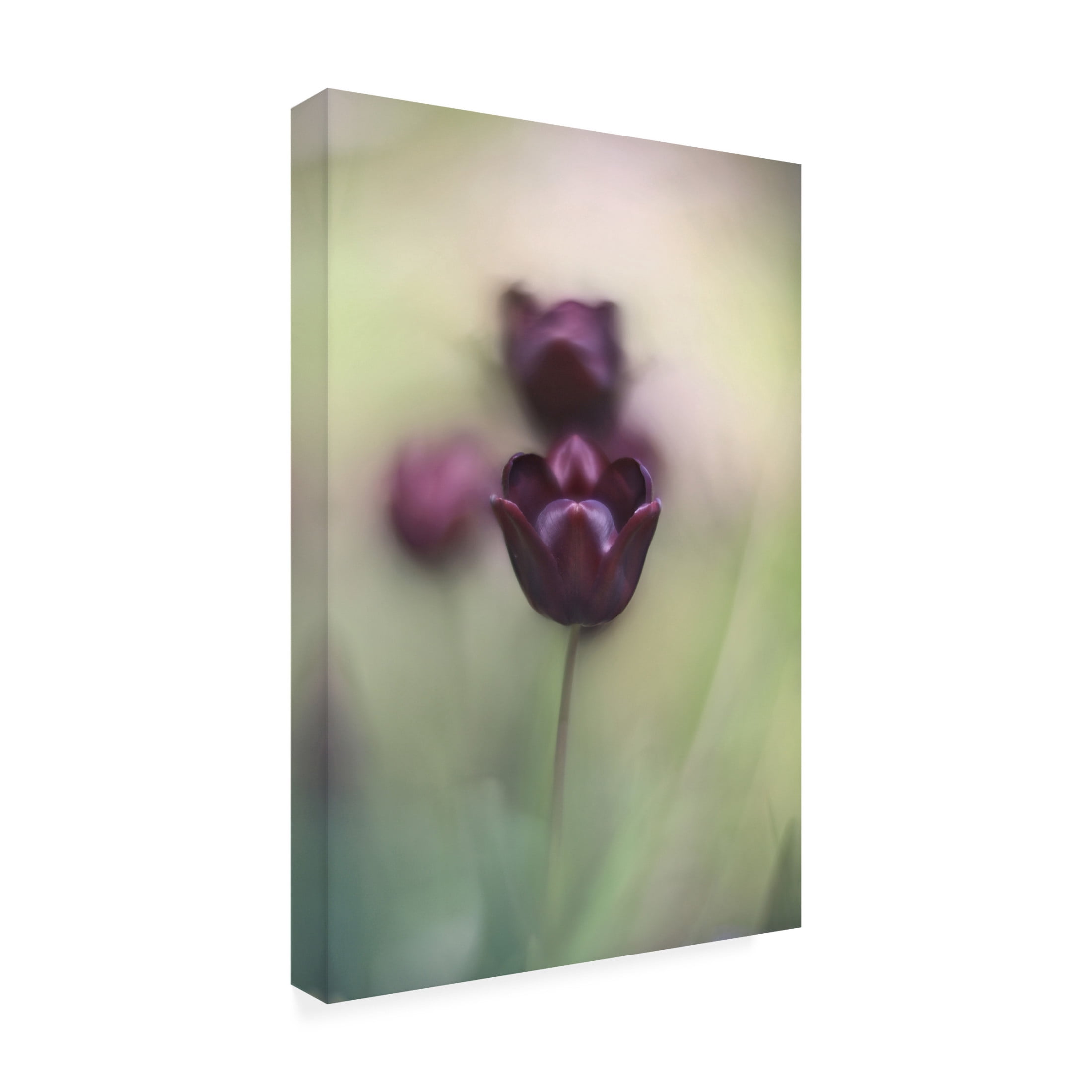 Trademark Fine Art tonnie van marwijk Projectorlens photo Canvas Wall Art