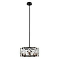 thumbnail image 2 of Elegant Lighting Endicott 5 Light Flat Black & Burnish Brass Clear Glass Pendant, 2 of 3