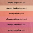 thumbnail image 6 of e.l.f. PRIMER BLUSH CHK Always Fresh, 6 of 12