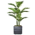 thumbnail image 1 of 54" Tall Palm Tree Artificial Indoor and Outdoor Decorative Faux with Burlap Kit and Fiberstone Planter by Minx NY, 1 of 3
