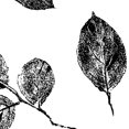 thumbnail image 3 of Mainstays PEVA Leaves Shower Curtain or Liner, 70" x 72", Black, 3 of 5