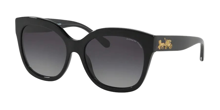 Coach Woman Sunglasses, Black Lenses Acetate Frame, 56mm