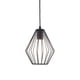 thumbnail image 1 of Pantalla de jaula de metal de iluminación negra, pantalla de lámpara Lámpara de protección de lámpara Lámpara colgante Pantalla de luz para decoración Estilo A Sunnimix Jaula de hierro de iluminación, 1 of 8