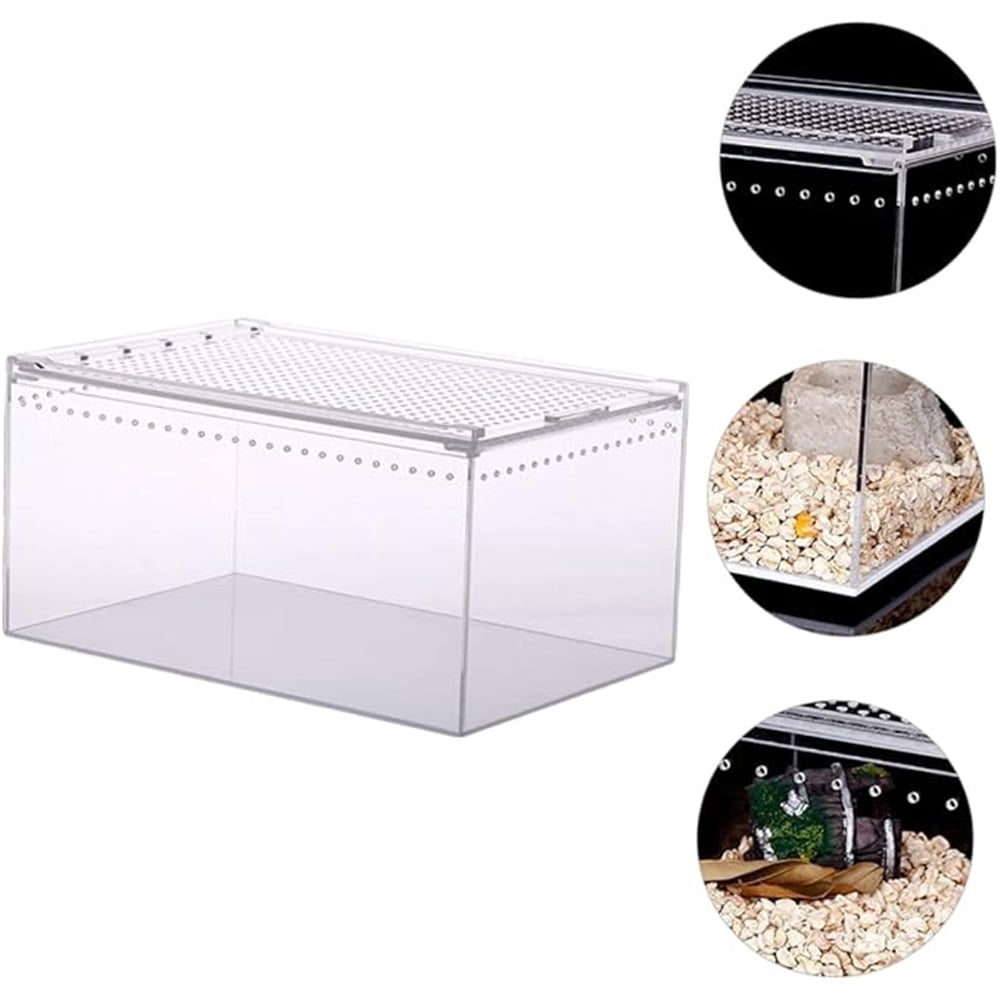 Reptile Terrarium Enclosure Acrylic Tarantula Breeding Box Magnetic Hermit Crab Habitat Tank Transparent Jumping Spider Cage for Insect Snail Amphibians Sling Isopods（20*15*10cm）