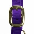 thumbnail image 2 of Jeffers Equine Horse Halter w/ Throat Snap, Purple -Durable 3 Ply Nylon, Adjustable Chin Strap, Durable Hardware, Comfortable Fit, Equestrian Tack for Training, Grooming, Leading - Arabian 500-800lb, 2 of 4