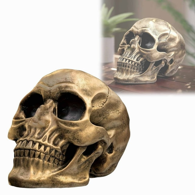 AKEGAMN Liquidation! Modèle de Tête Humaine pour Décoration de Maison Statue d'Halloween Tête Humaine Adulte Modèle d'Os Tête Humaine Modèle de Tête Humaine pour Décoration de Maison Statue d'Halloween Tête Humaine Adulte Os Modèle Caractéristiques: