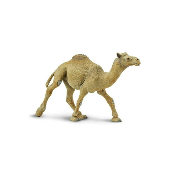 Safari Ltd. Dromedary Camel Figurine - Lifelike 5.75" Model Figure - Educational Toy for Boys, Girls, and Kids Ages 3 