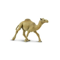 Safari Ltd. Dromedary Camel Figurine - Lifelike 5.75" Model Figure - Educational Toy for Boys, Girls, and Kids Ages 3