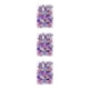 thumbnail image 5 of Ramos De Flores Secas Naturales Yuarrent Decoración Colorida Tipo 3, 5 of 6