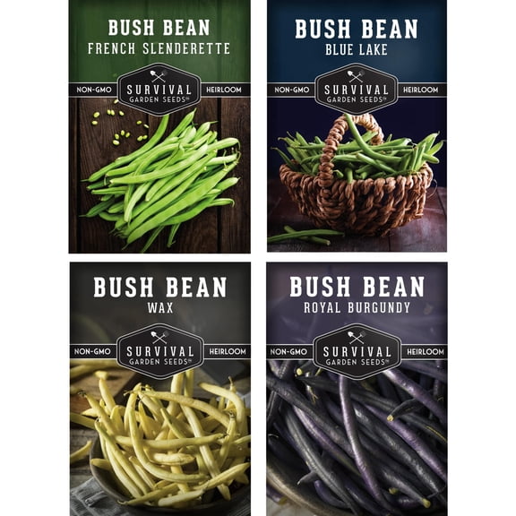 Bush Bean Seeds Variety Pack - 4 Heirloom Full Sun Annual Vegetables