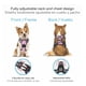 thumbnail image 5 of Arnes Para Perros De Raza Chica. Pechera Talla Extra Chica, 5 of 8