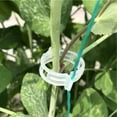 thumbnail image 4 of Tomato Clips Dalzom, 300 unidades, enrejado de plástico, soporte para plantas, 4 of 7