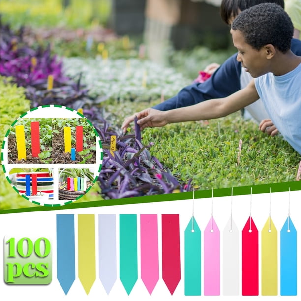 onlyliua para Interior/Exterior 100 Plantas, Plantas, Jardines, Macetas, Multicolor