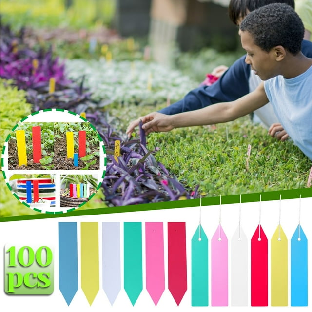 Vaidha 100Pcs Plastic Plant Tags Garden Plant Labels Pot Markers Multicolor