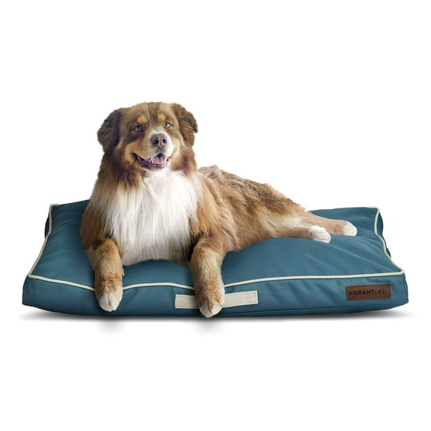 Large durable dog bed online