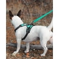 thumbnail image 3 of LAICAIW Double-Sided Reflective Dog Leash, 6 FT/5 FT/4 FT, Padded Handle Nylon Dogs Leashes for Small & Medium Dogs Walking, Teal, 5FT, 3 of 7