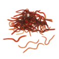 thumbnail image 1 of Señuelo de Pesca de Lombriz de Silicona Suave Bionics Cebo de Pesca kusrkot Señuelos de pesca suaves, 1 of 8