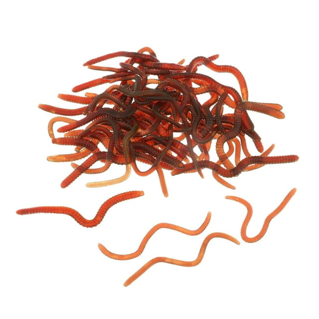 25pcs Señuelos Lombriz Cola Diseños Cebos Silicona Arte De Pesca Baitcasting
