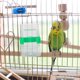 thumbnail image 5 of Bebedero automático para pájaros, comedero para pájaros, bebedero automático para pájaros, comedero para pájaros, dispensador de agua para jaula de pájaros, 3 uds. JM, 5 of 5