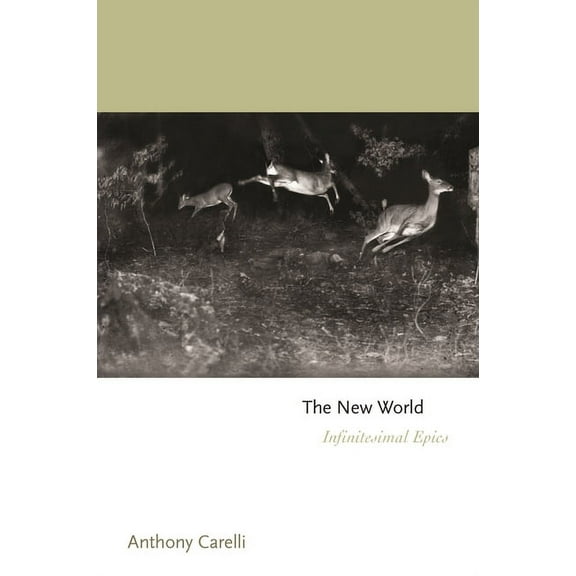 Princeton Contemporary Poets The New World: Infinitesimal Epics, Book 159, (Hardcover)