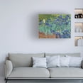 thumbnail image 2 of Vincent van Gogh 'Irises 1889' Canvas Art, 2 of 4