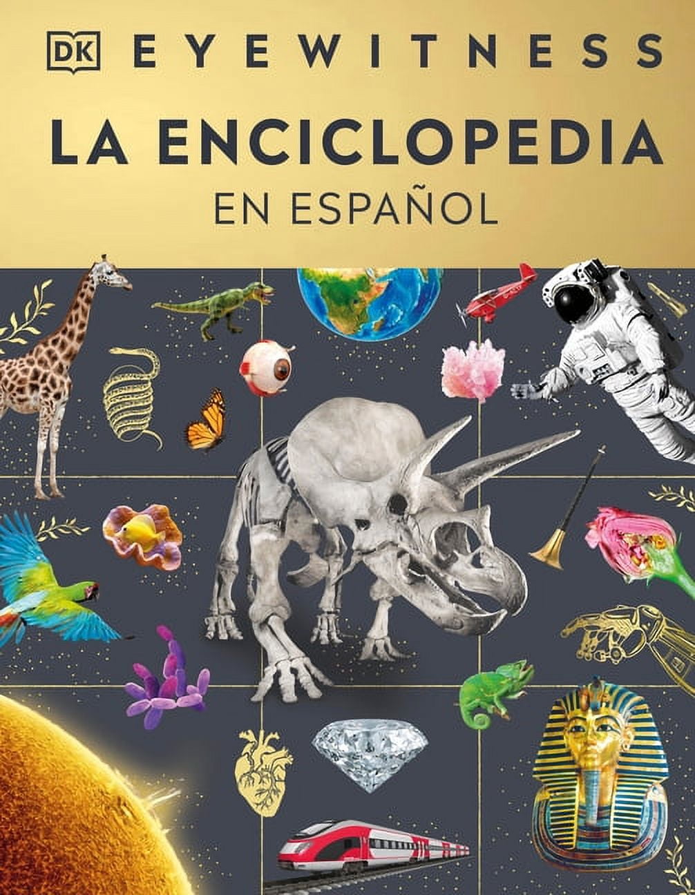 DK Eyewitness Encyclopedia of Everything, ISBN 9780744084702, for