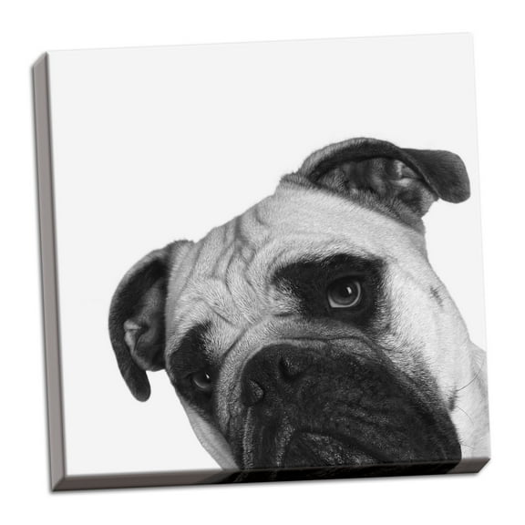 Gango Home Decor Vertical Que Pasa? by Jon Bertelli (Ready to Hang); One 12x12in Hand-Stretched Canvas